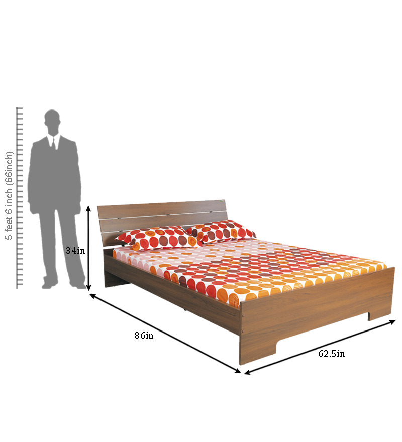 Zuari Star Queen Size bed by Zuari Online Modern Furniture