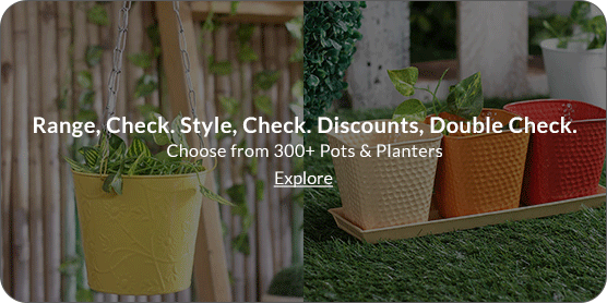  300+ Pots & Planters To Choose From. 